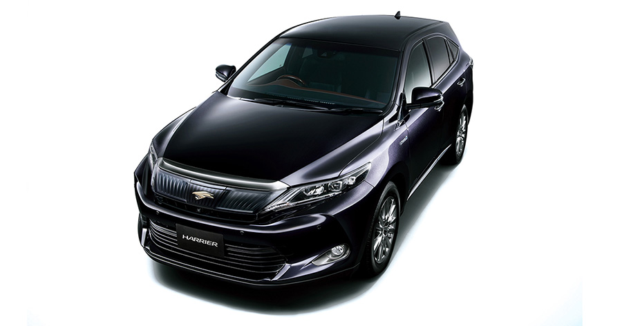 Premium Advanced Package (hybrid model)