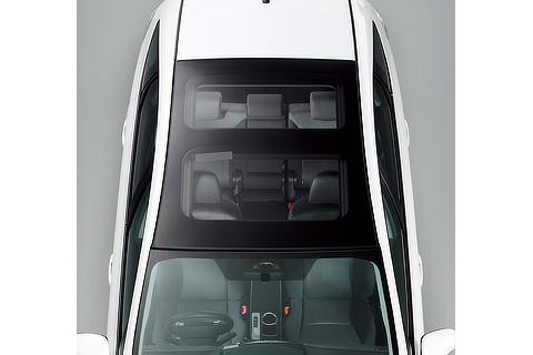 Resin Panoramic Roof
