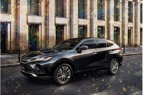Z "Leather Package" (Precious Black Pearl)