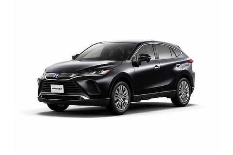 Z "Leather Package" (Precious Black Pearl)