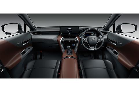 Z "Leather Package" (Brown)