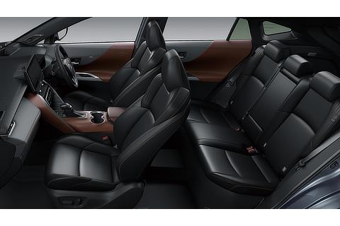 Z "Leather Package" (Brown)
