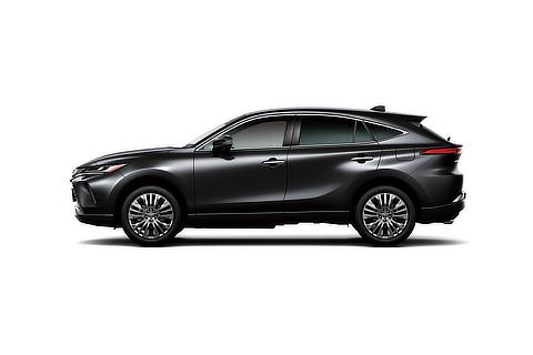 Z "Leather Package" (Precious Black Pearl)