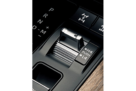 Land Cruiser