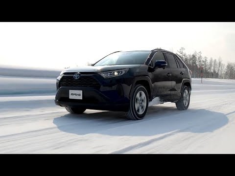 RAV4 (HYBRID X)