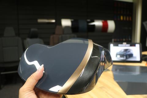Voxy Body Color Development