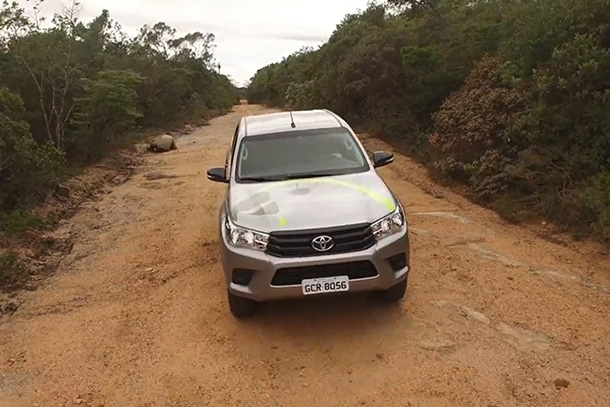 Hilux Birdlife in Brazil