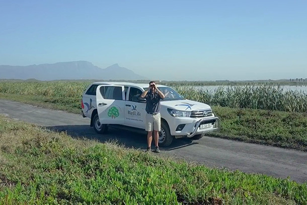 Hilux Birdlife in South Africa